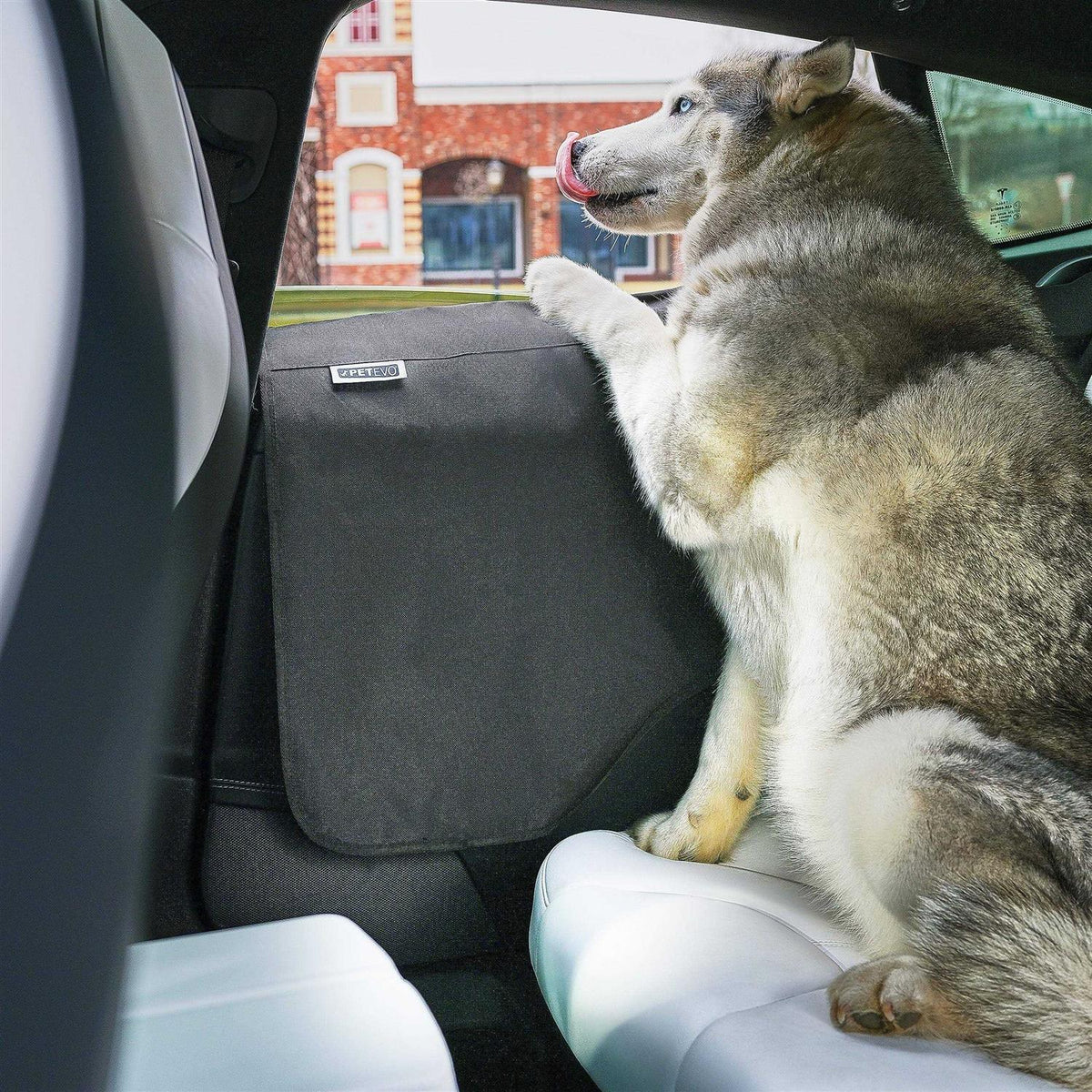 Car Door Protector Pet Window Guard Y576719