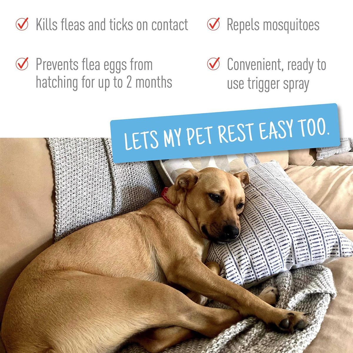 Flea Tick Spray C5461