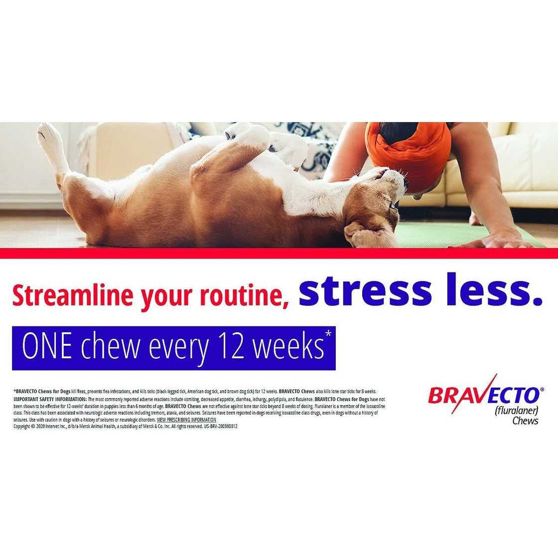 Bravecto Chews for Dogs W91396