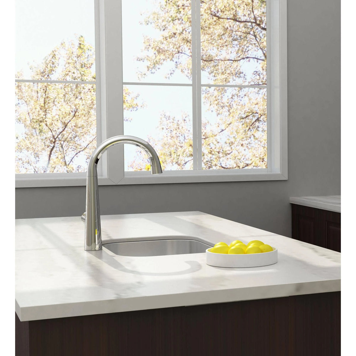 Stainless Steel Pull-Down Bar Faucet U863198