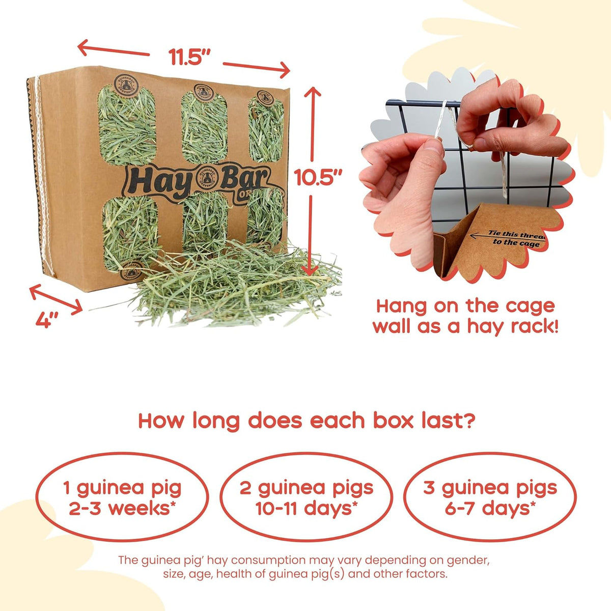 Guinea Pig Hay 5 Pack L34744