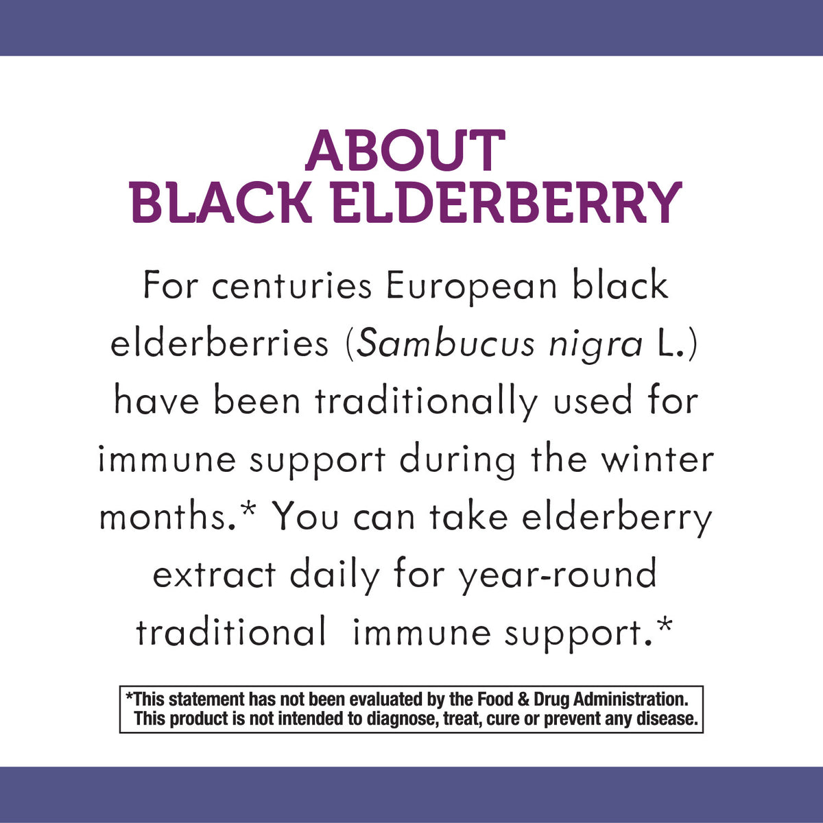 Sugar-Free Elderberry Syrup, 4 fl oz L893962