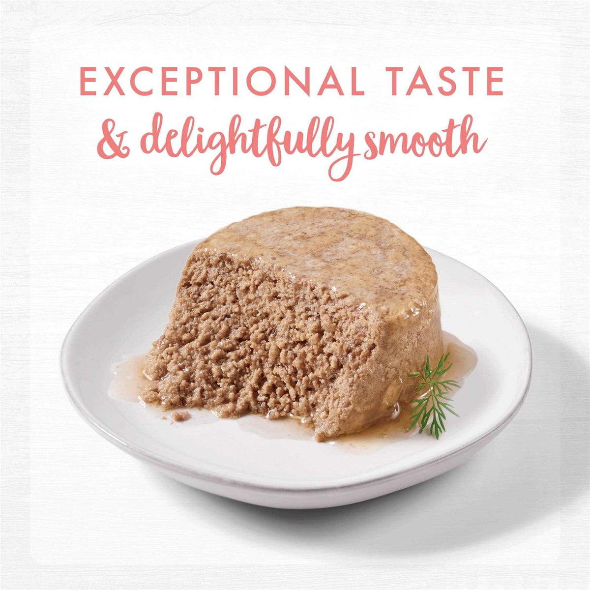 Grain Free Pate Wet Kitten Food F62404