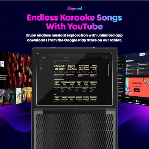 Portable Bluetooth Karaoke Machine with 2 Wireless Microphones Q9575