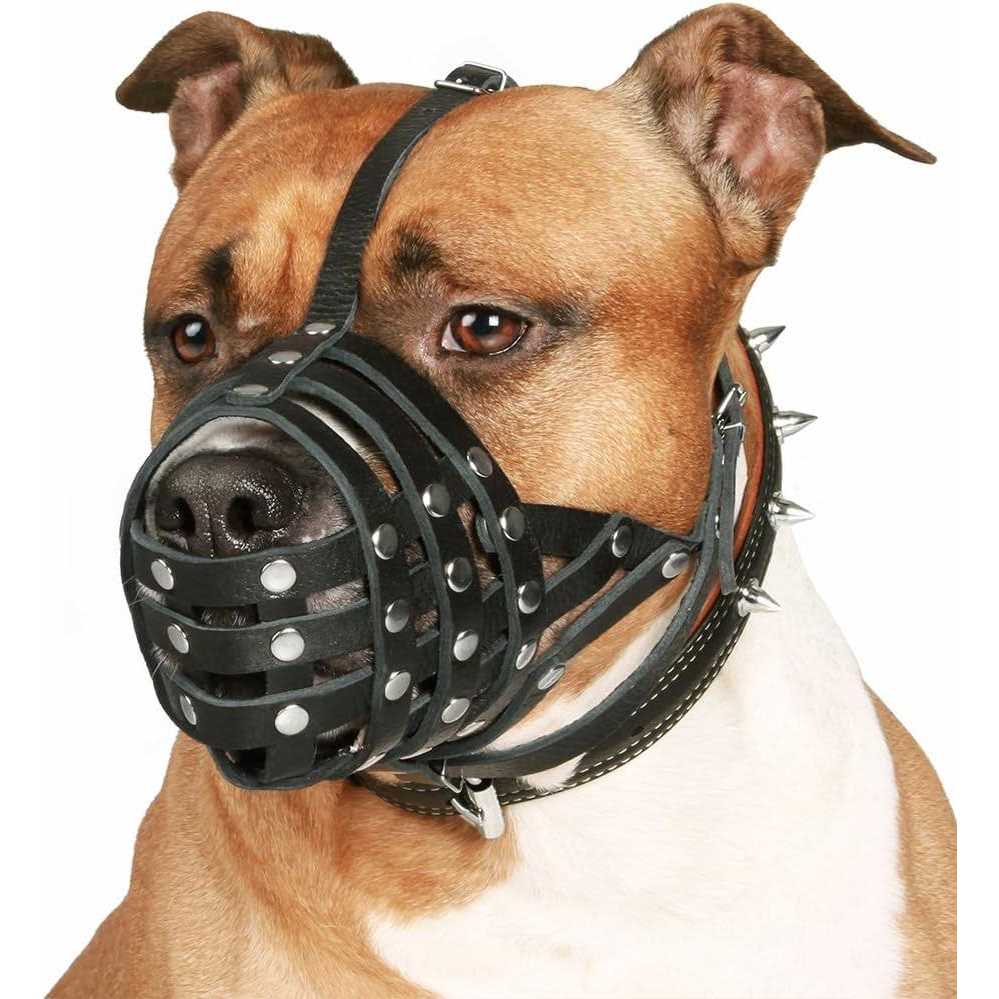 Dog Muzzle Basket Genuine Leather B67109