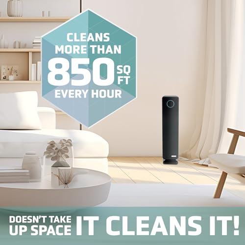True HEPA Filter Air Purifier with UV Light Sanitizer M888