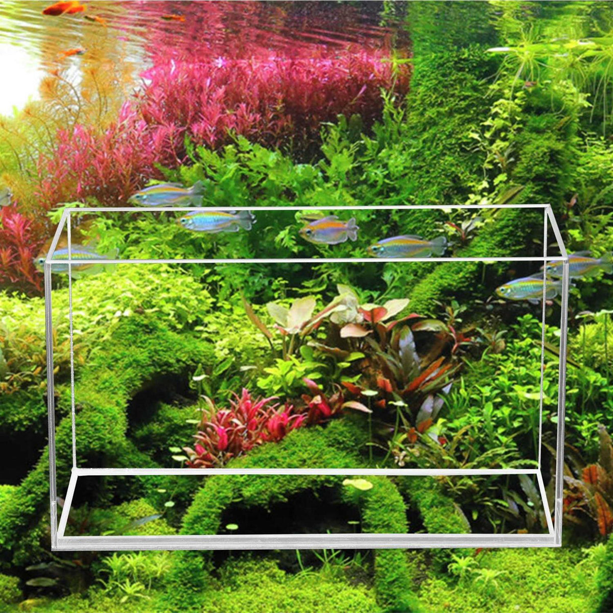High Clarity Bookshelf Aquarium I152223