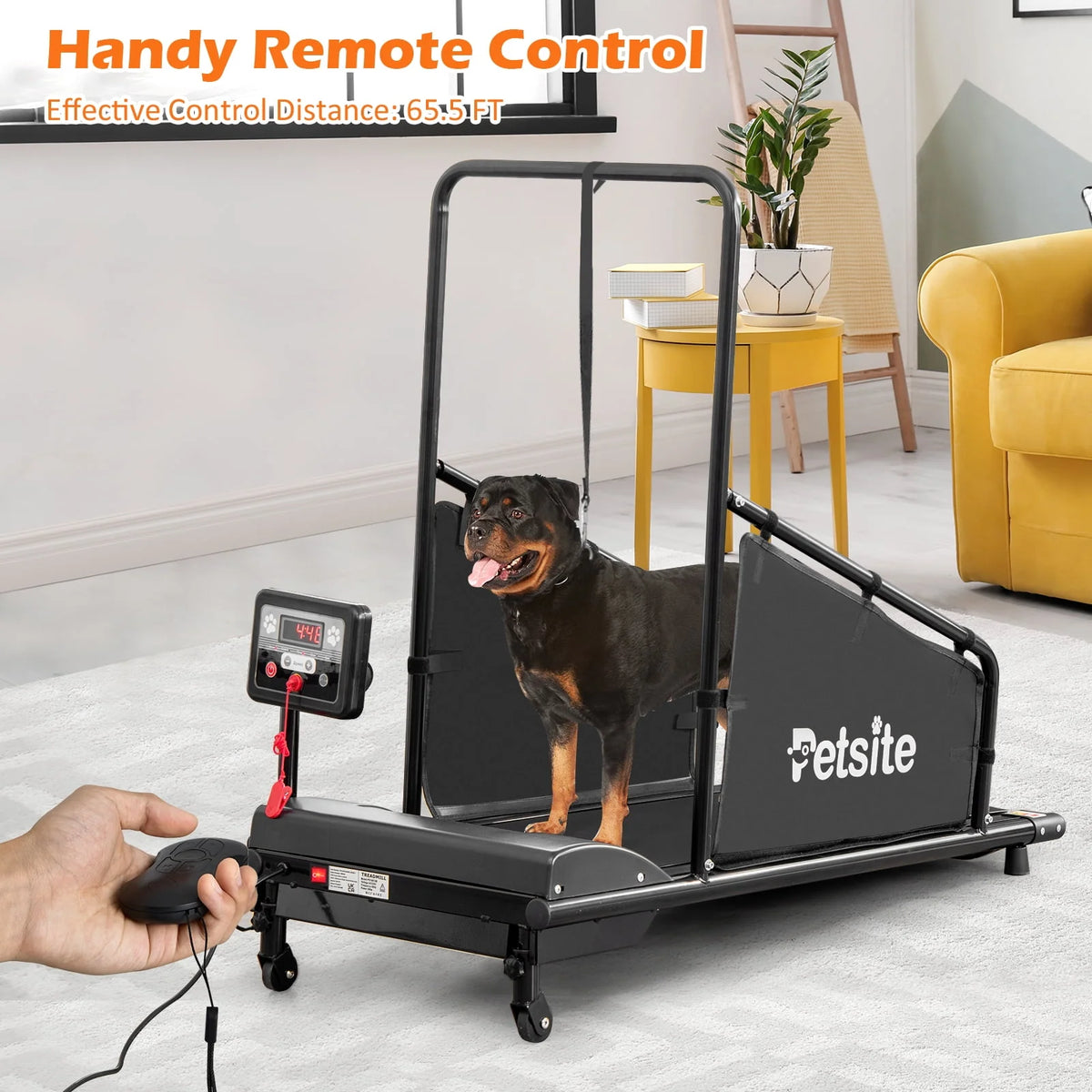 Pet Treadmill with Remote Control U72774