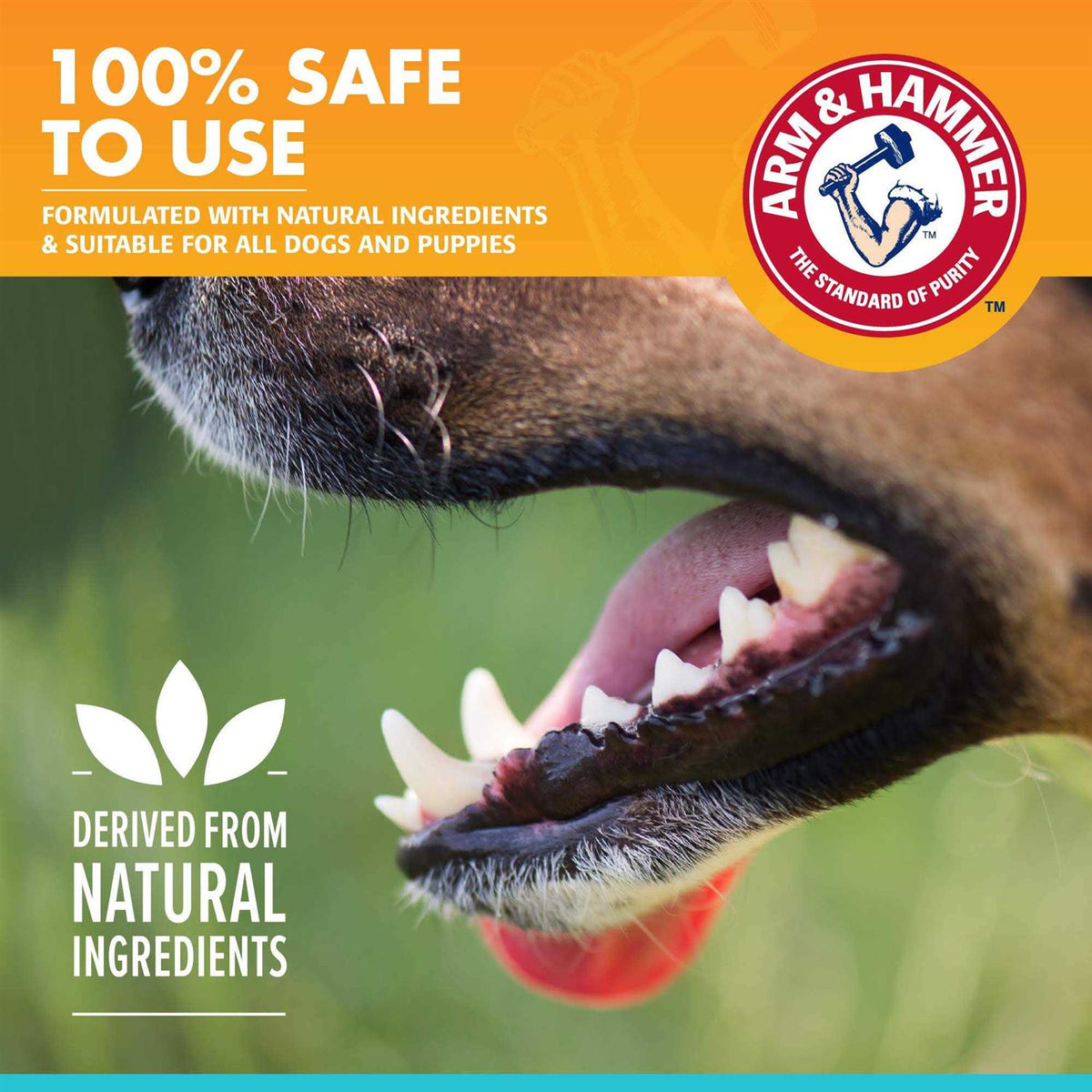 Fresh Breath Dental Spray for Dogs Y72125