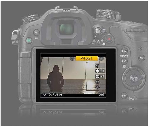 V-LOG L Firmware Upgrade for GH4 Camera H72824