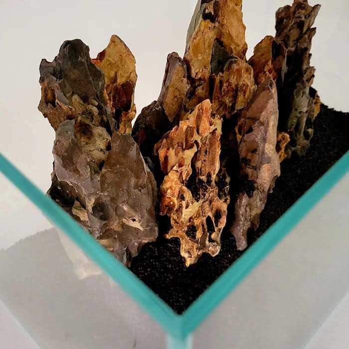 Crystal Aquarium P55802