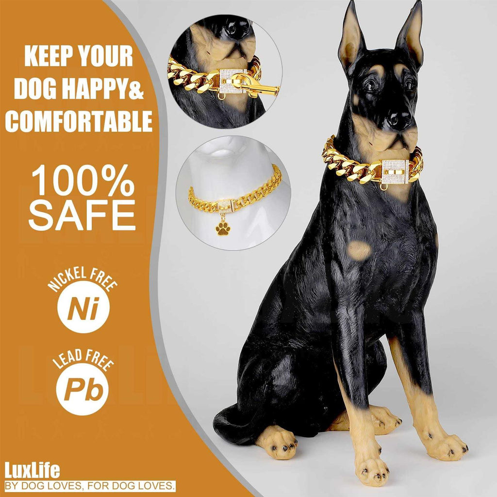 Gold CZ Buckle 19mm Cuban Link Dog Chain Collar E7663