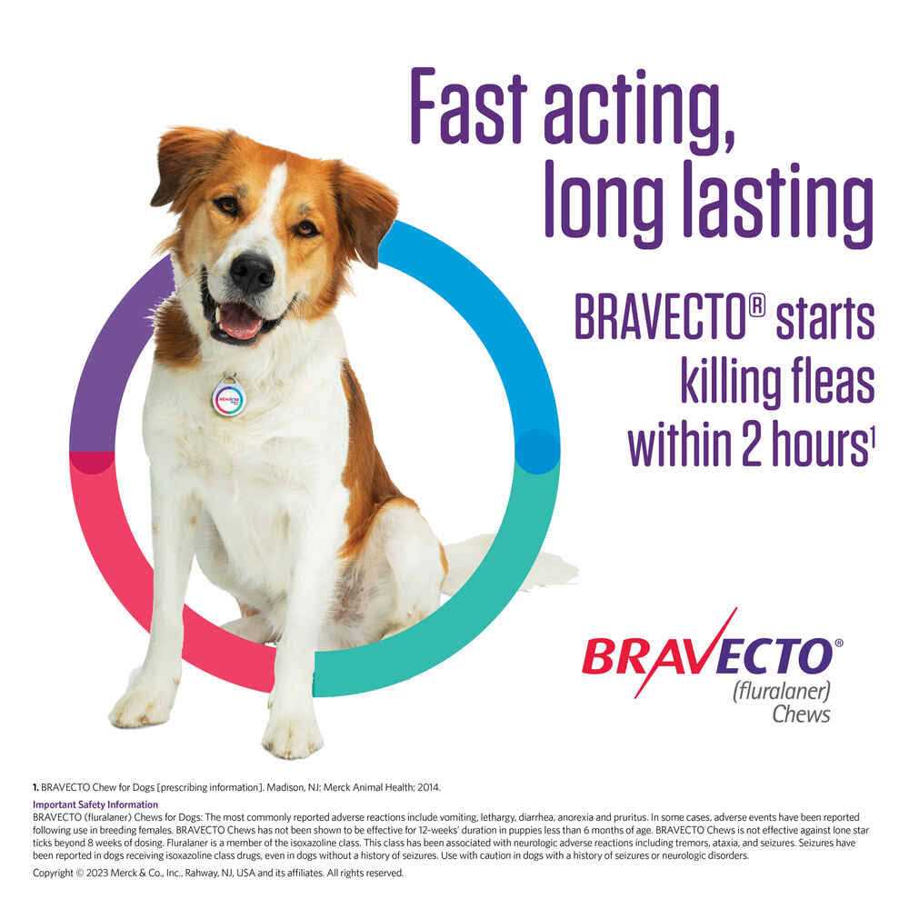 Bravecto Chews for Dogs W91396