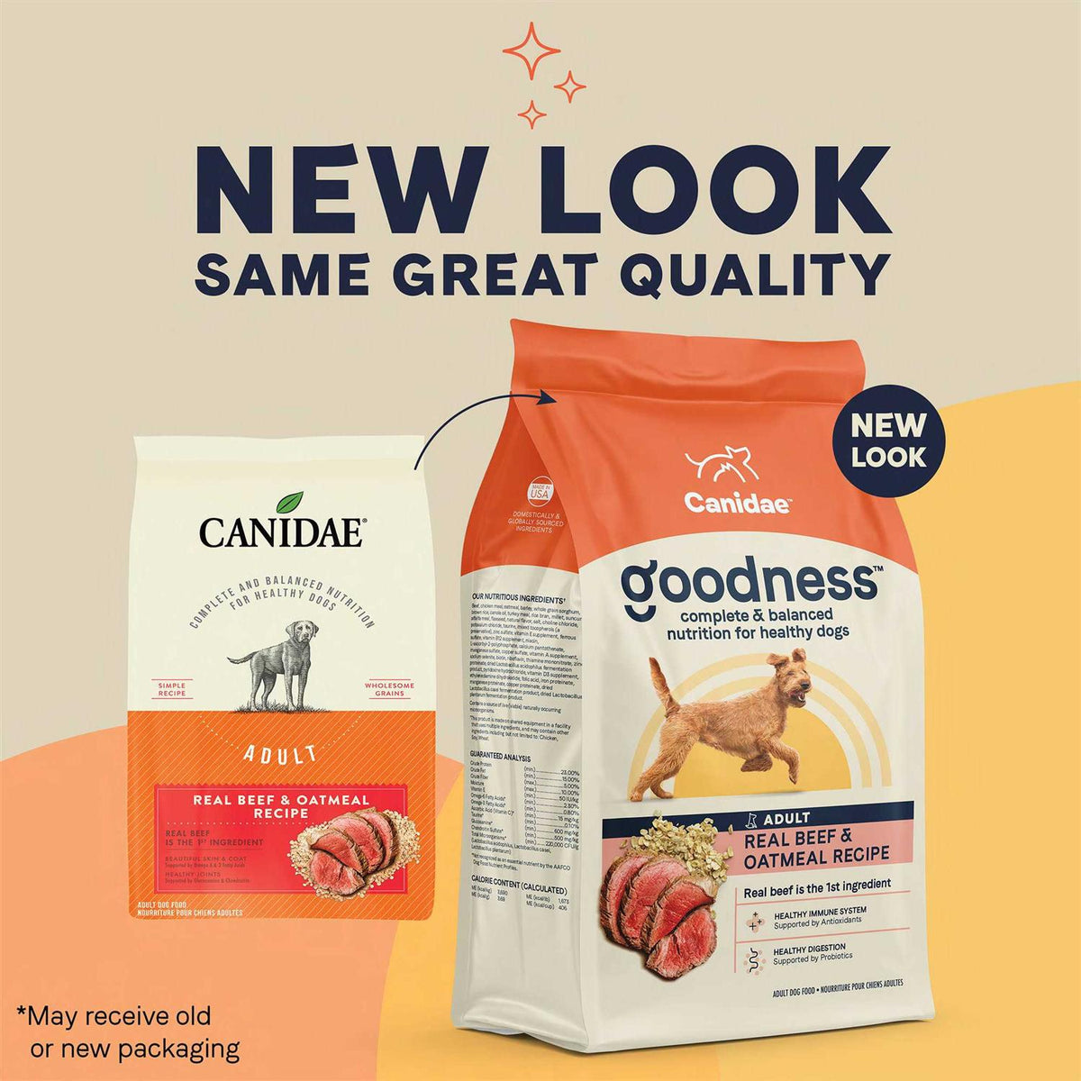 Adult Dry Dog Food Beef and Oatmeal O4718
