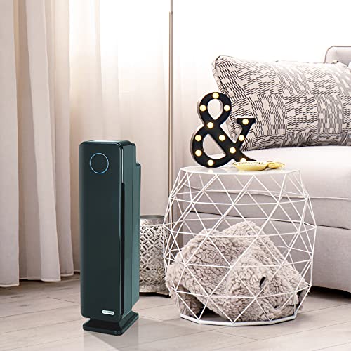 True HEPA Filter Air Purifier with UV Light Sanitizer M888