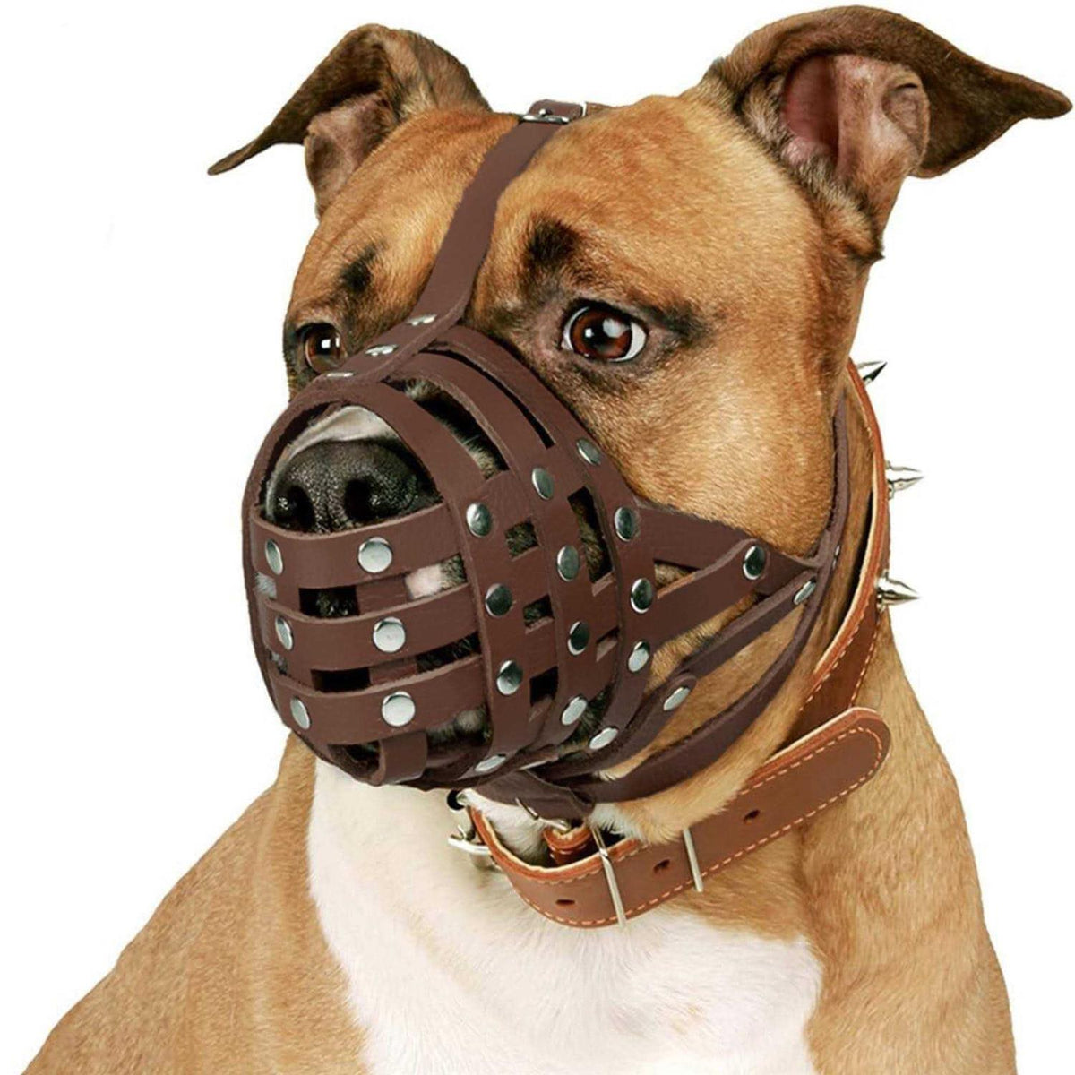 Dog Muzzle Basket Genuine Leather B67109