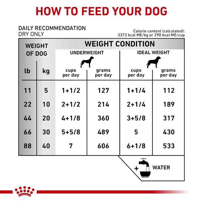 Veterinary Diet Gastrointestinal Fiber Response Dry Dog Food Z5015