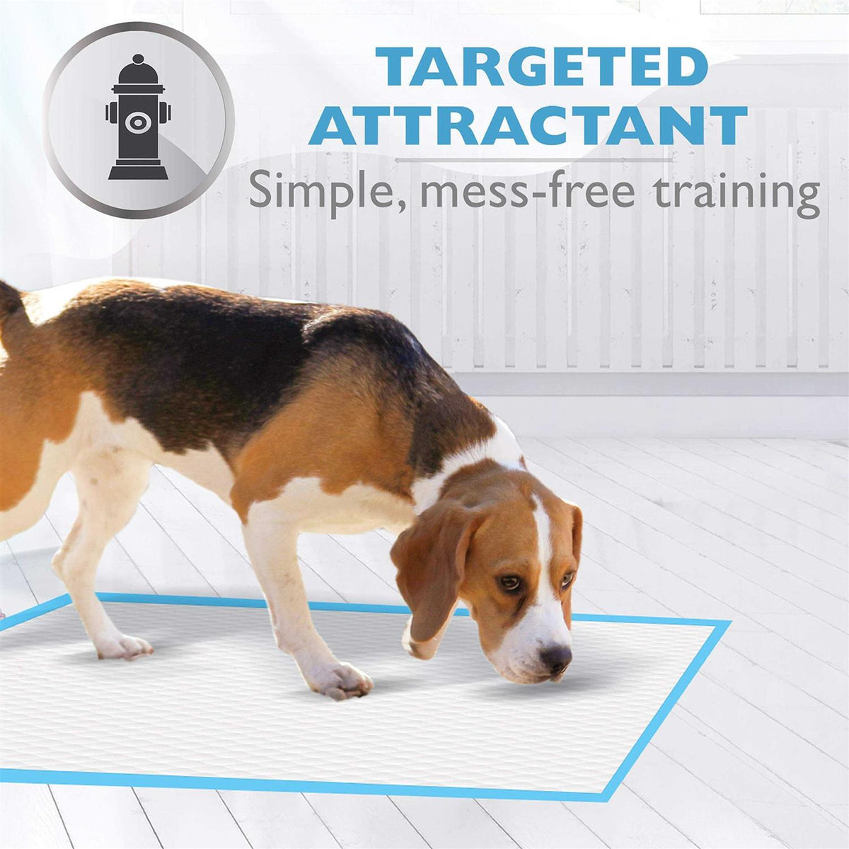 Pet Select Pee Pee Pads I43044