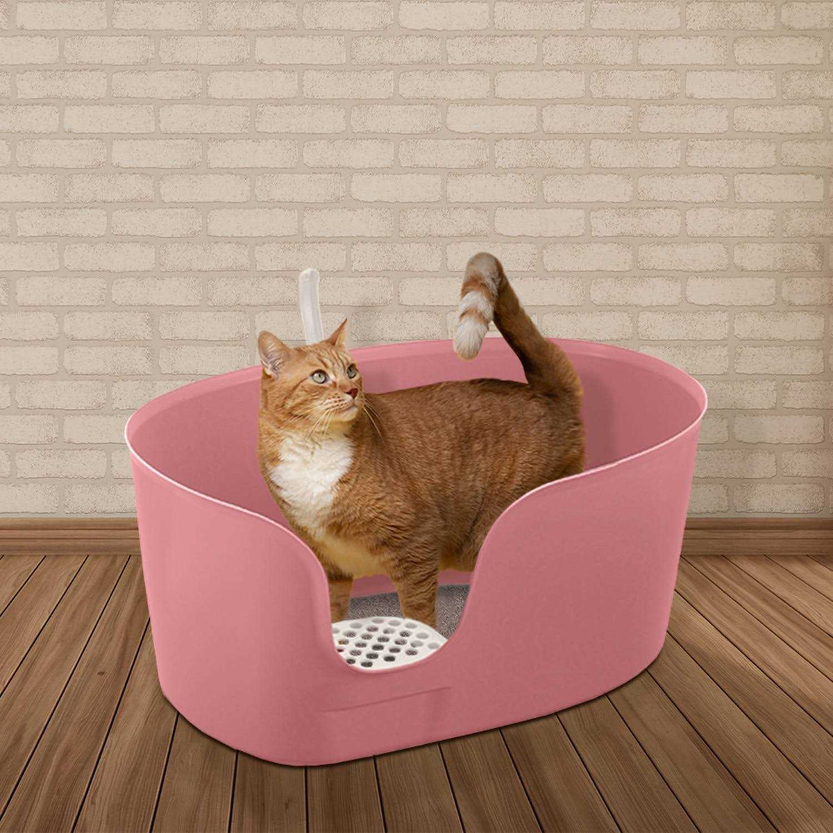 High Wall Cat Litter Box XL Y599