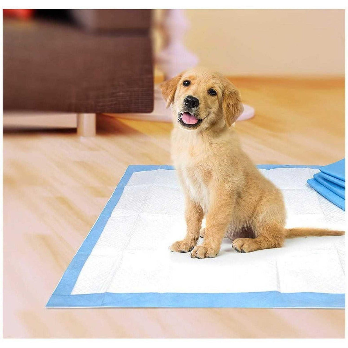 Pet Select Pee Pee Pads I43044