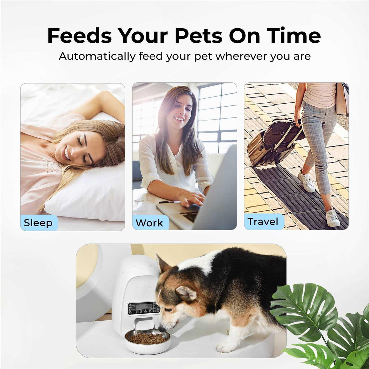 Automatic Dog & Cat Feeder L6914