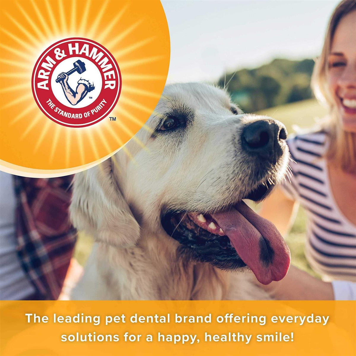 Fresh Breath Dental Spray for Dogs Y72125