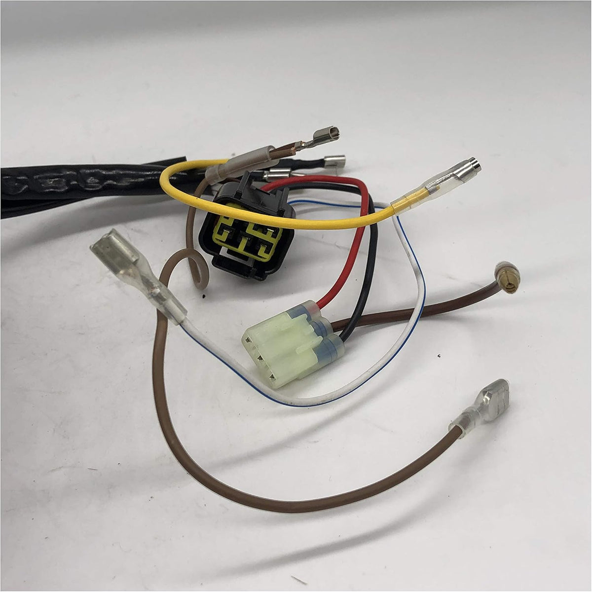 Magneto Stator J4583