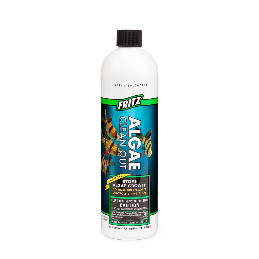 Aquarium Algae Clean Out Z677