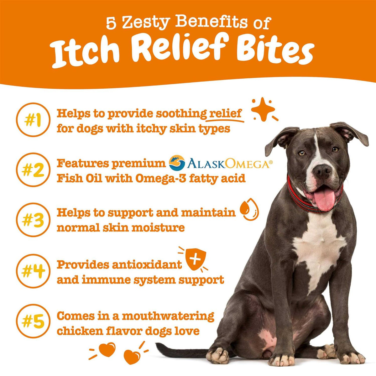 Chicken Flavored Soft Chews Supplement for Dogs K41721