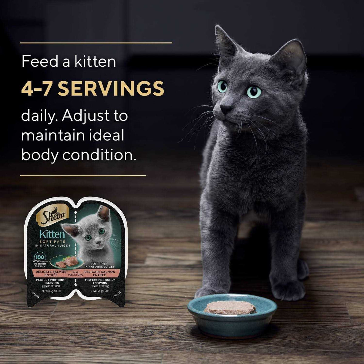 Wet Kitten Food Pate B32059