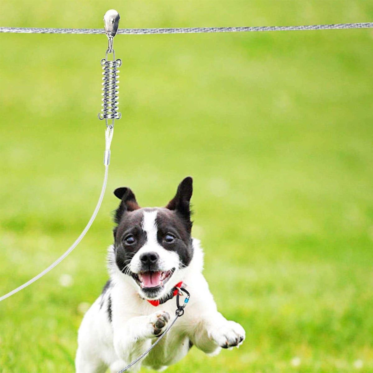 Dog Tie Out Runner with 10ft Pulley M457142