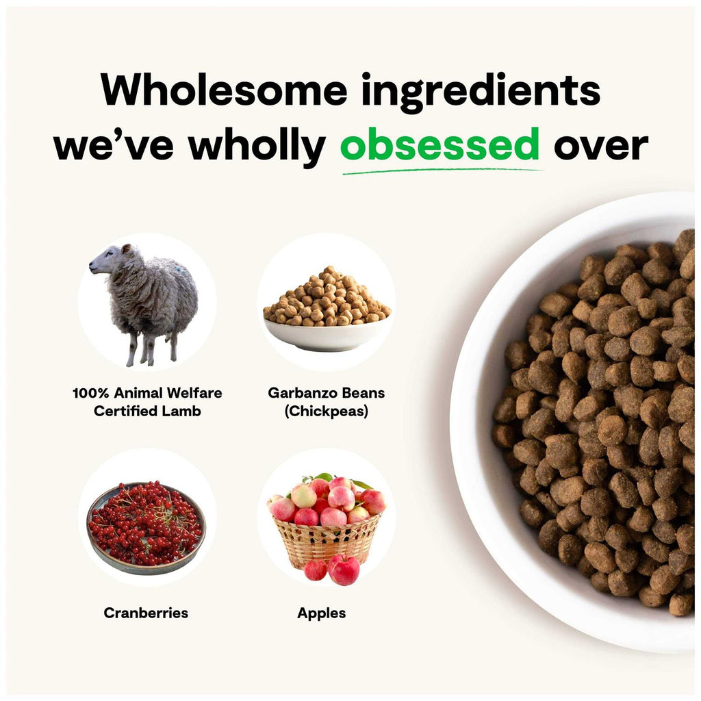 Grain-Free Pasture Raised Lamb Dry Dog Food O1407