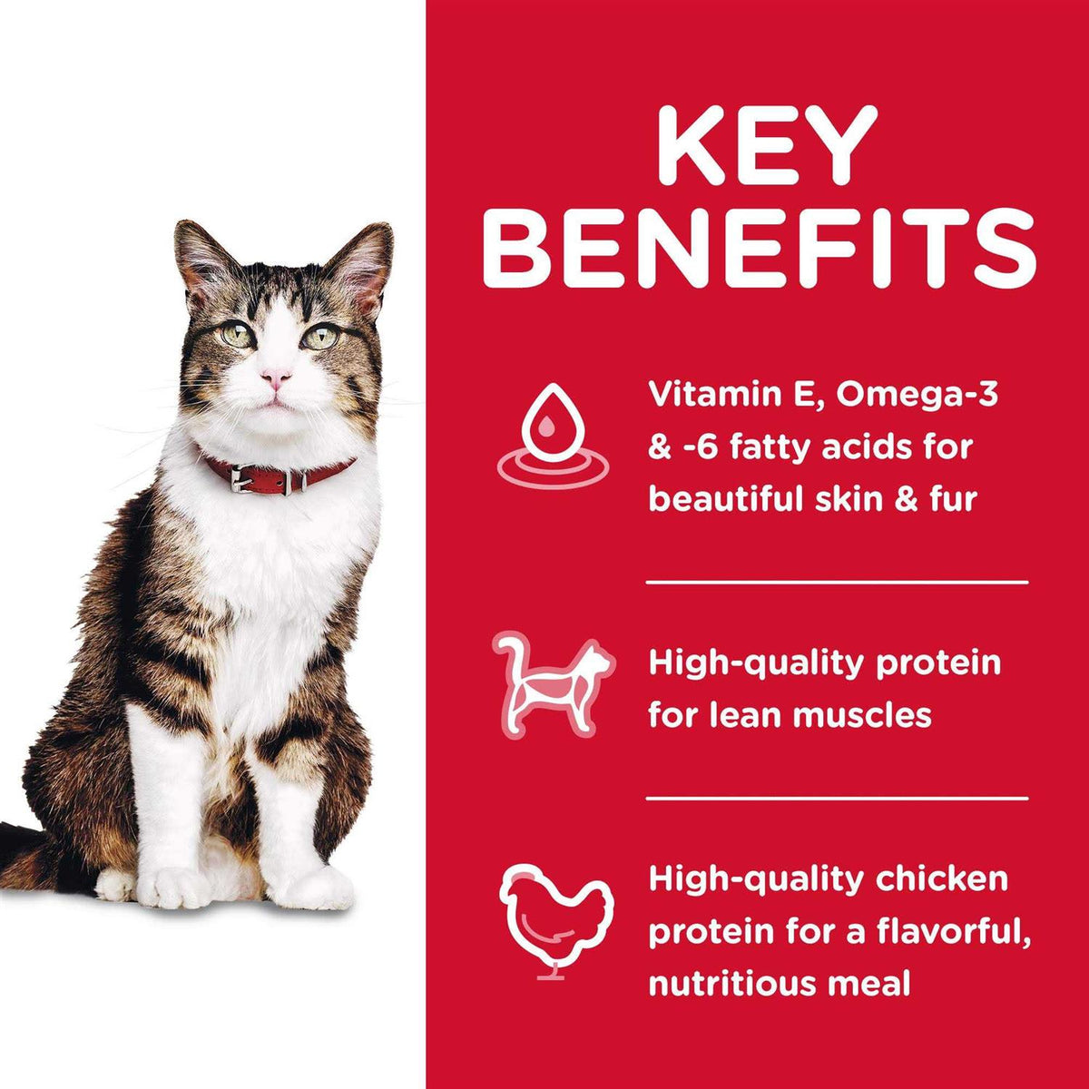 Adult Hairball Control Dry Cat Food Y76331