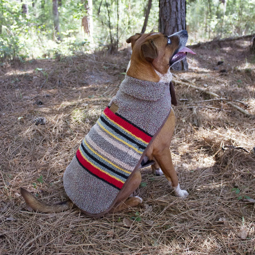 Umber Dog Coat O263