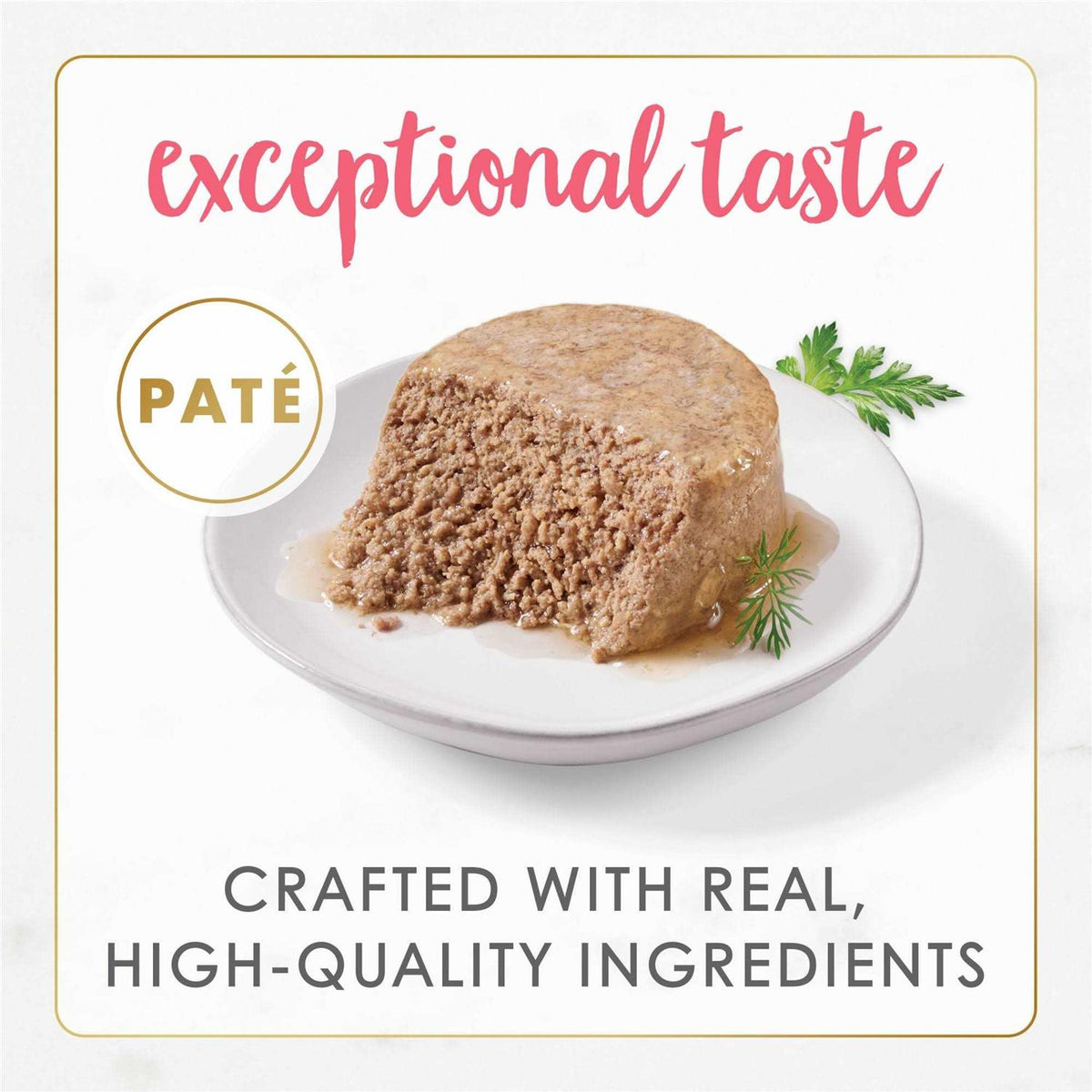 Grain Free Pate Wet Kitten Food F62404