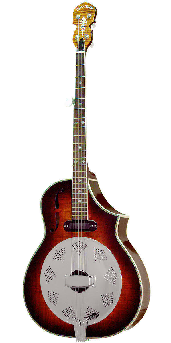 5-String Acoustic-Electric Resonator Banjo Q23127