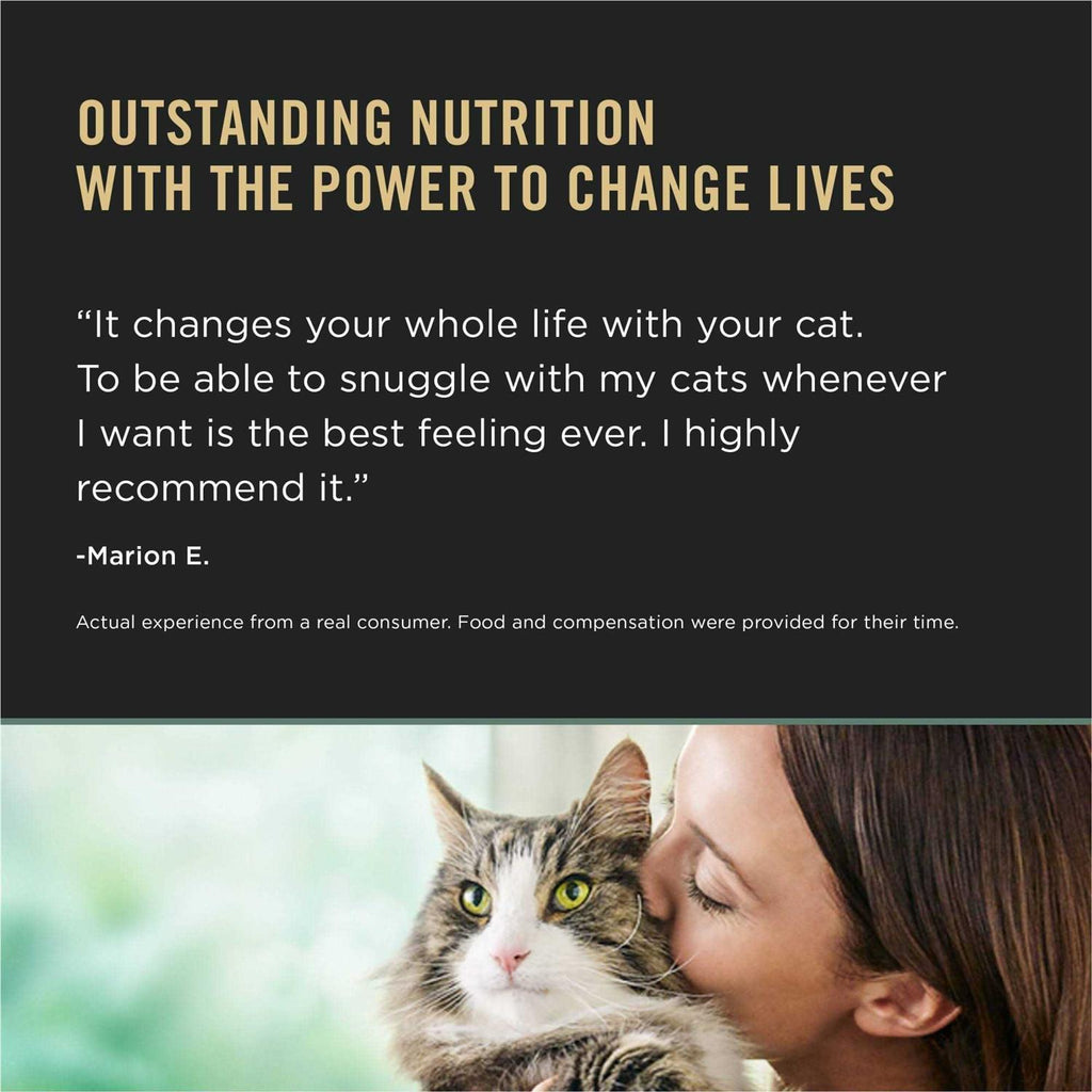 Chicken & Rice Dry Cat Food W96094