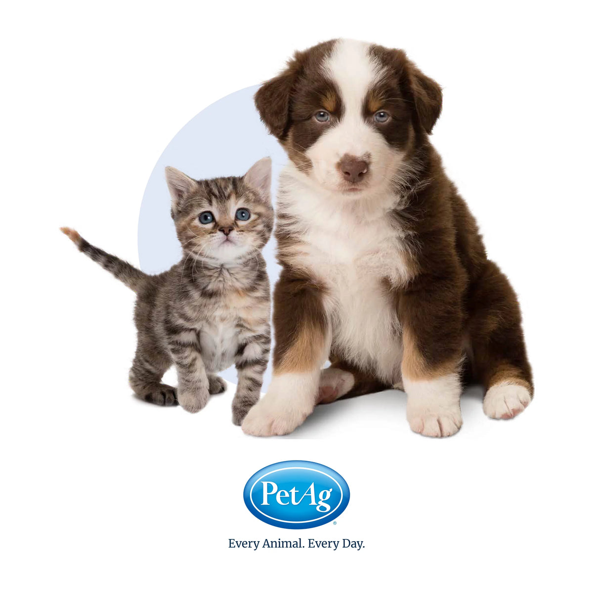 High Calorie Liquid Nutritional Supplement for Dogs and Puppies Q7686