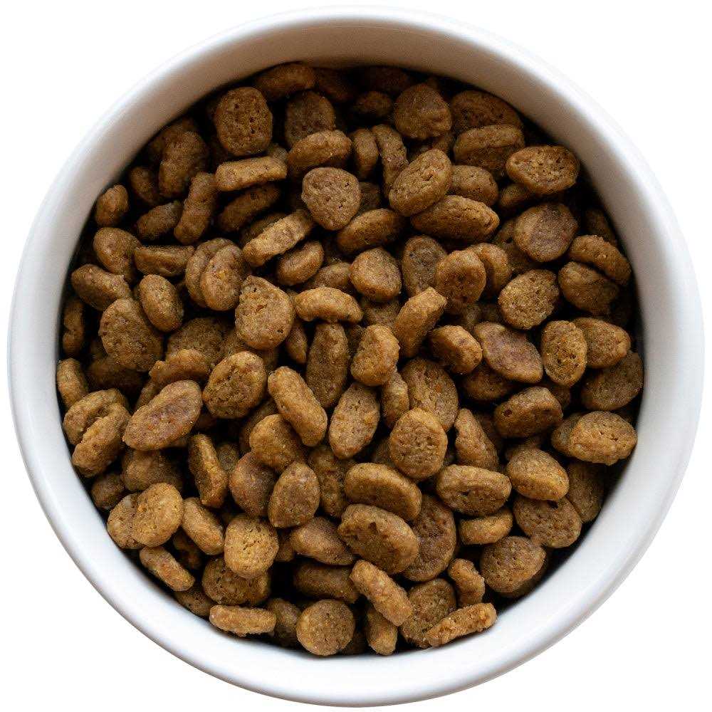 Chicken & Rice Dry Cat Food W96094