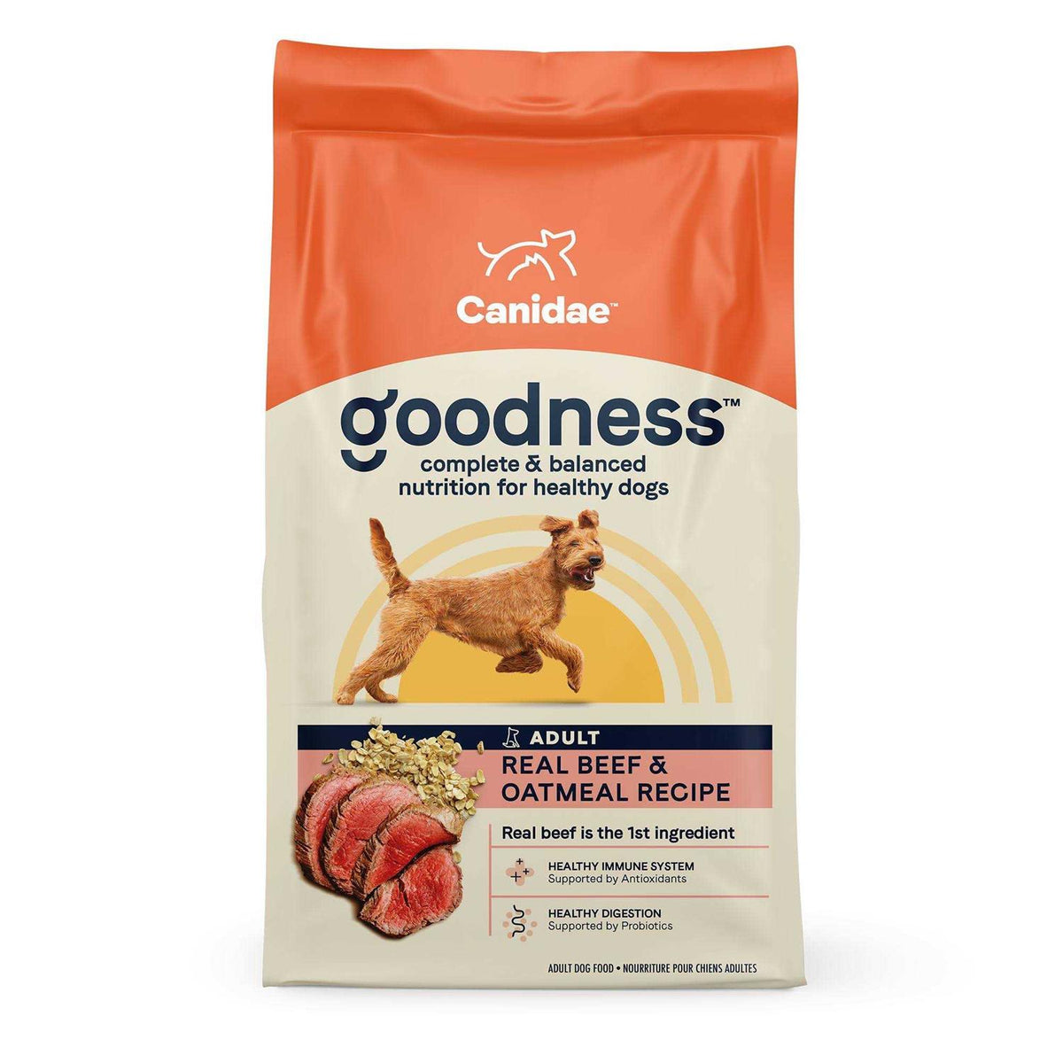 Adult Dry Dog Food Beef and Oatmeal O4718