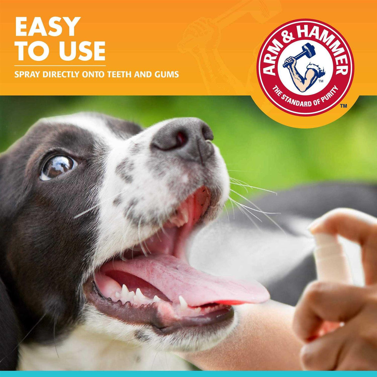 Fresh Breath Dental Spray for Dogs Y72125