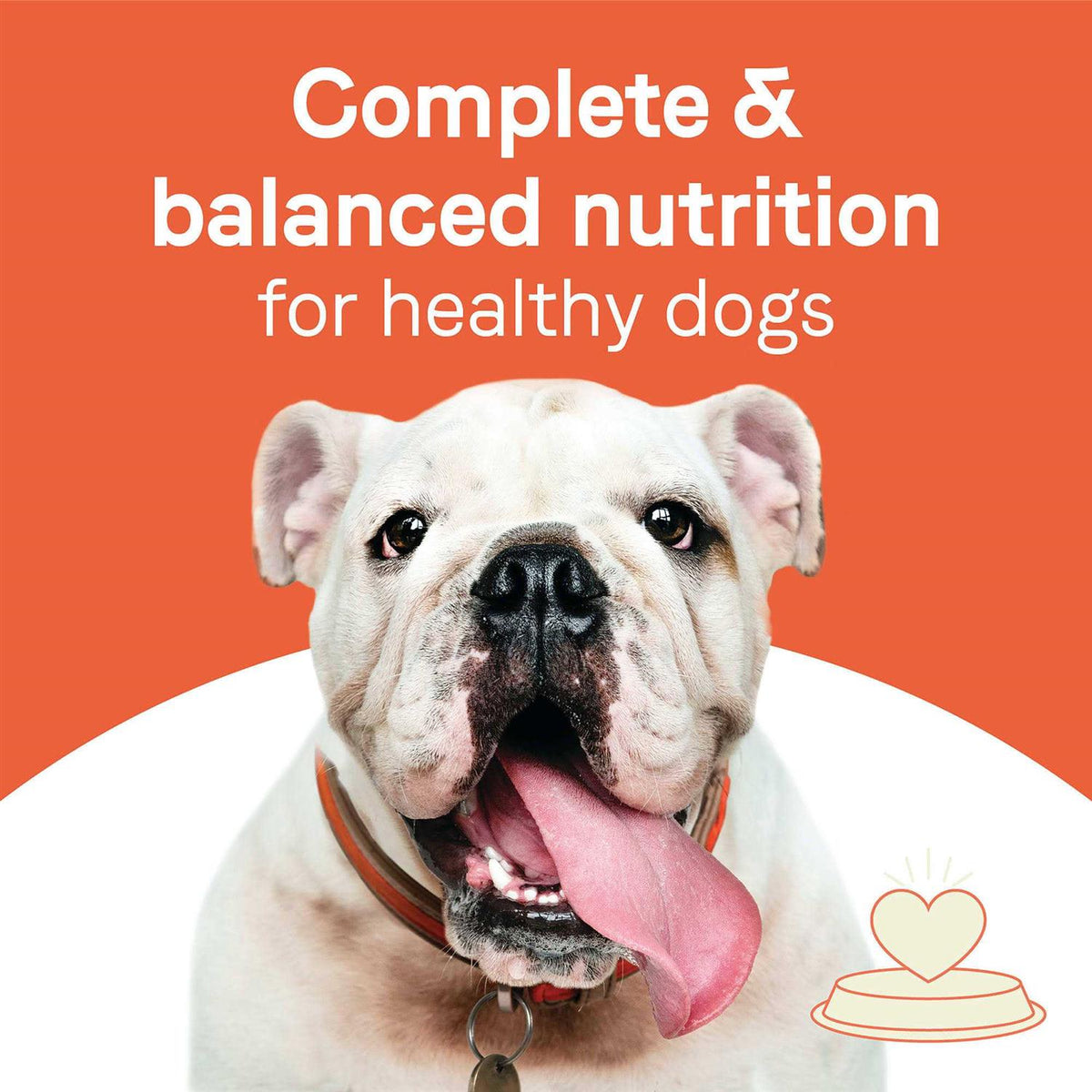 Adult Dry Dog Food Beef and Oatmeal O4718