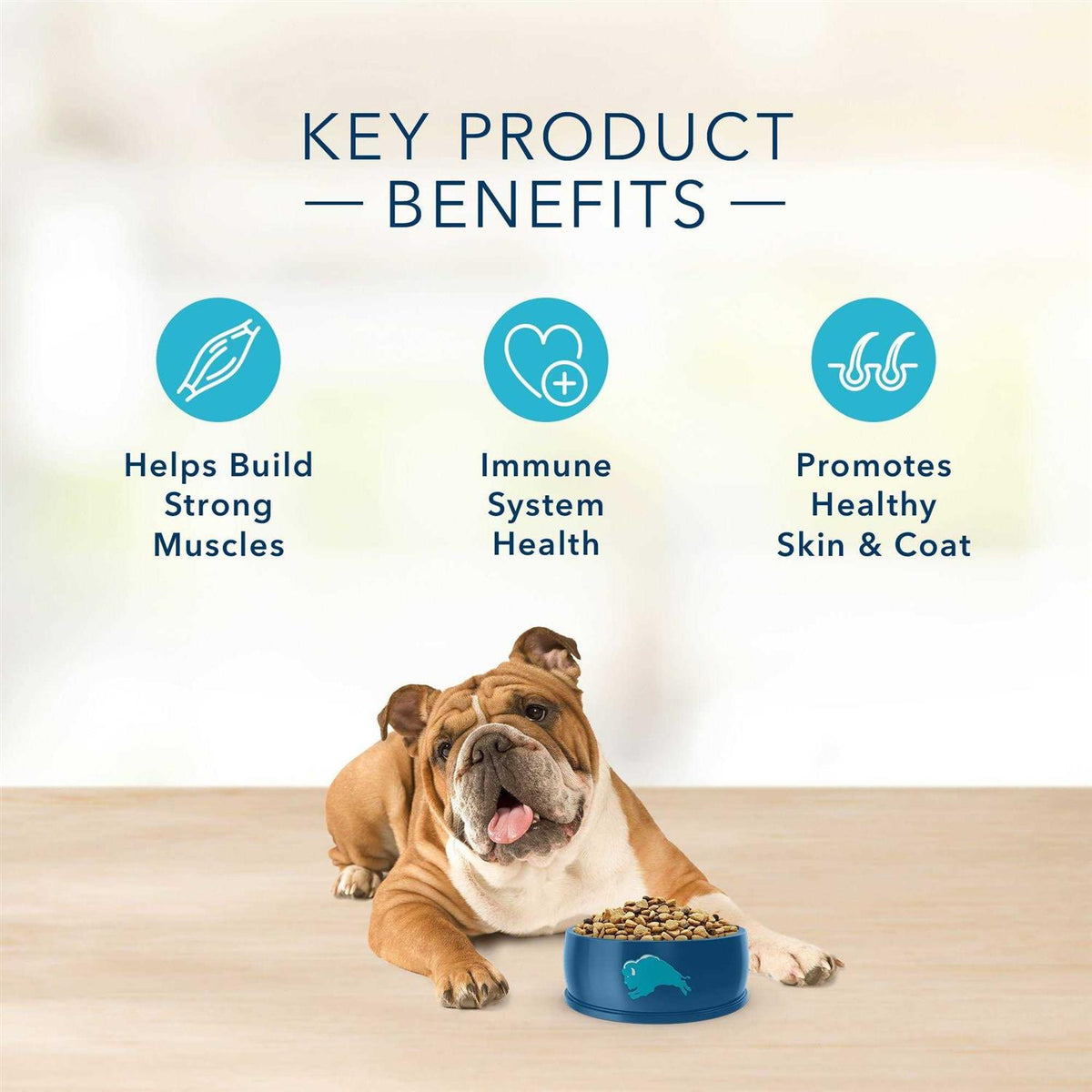 Grain-Free Lamb & Potato Dry Dog Food A639245