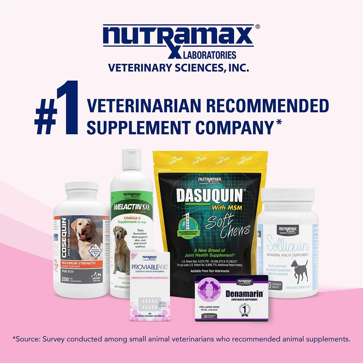 Health Supplement Kit Dogs Z54687