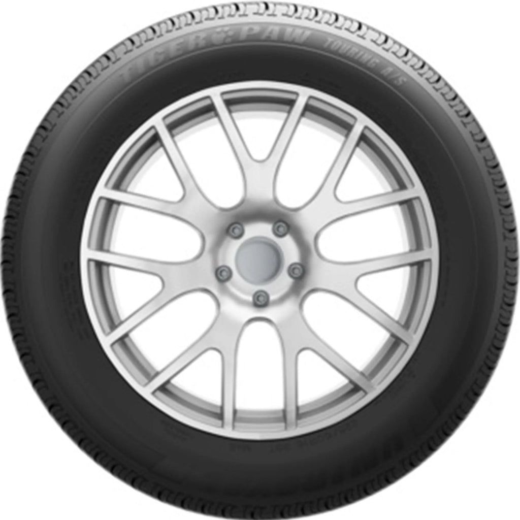 All Season 255/45R19 100V Passenger Tire V2368