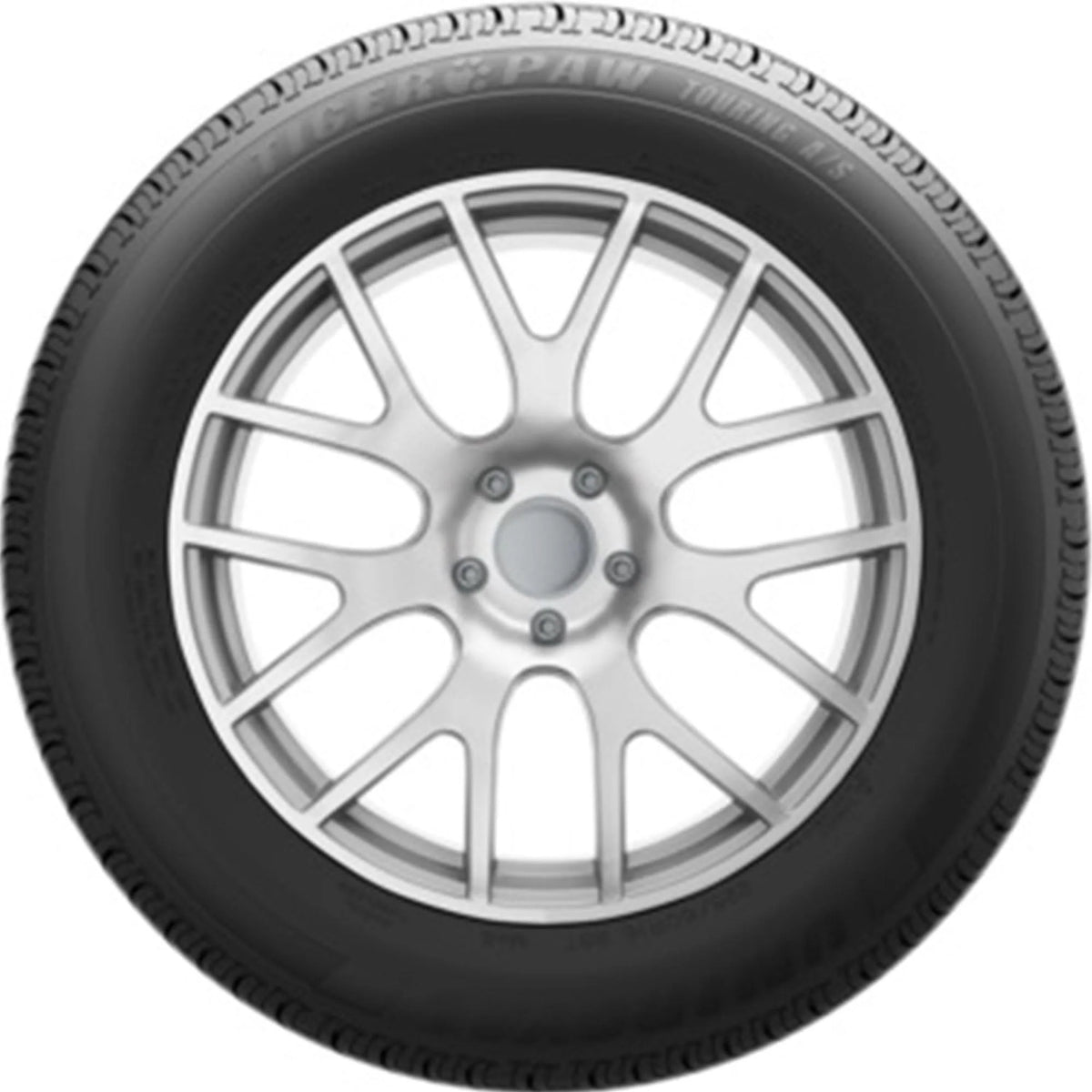 All Season 255/45R19 100V Passenger Tire V2368
