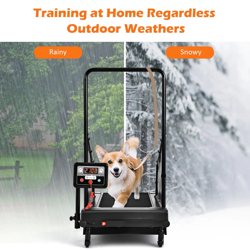 Pet Treadmill with Remote Control U72774