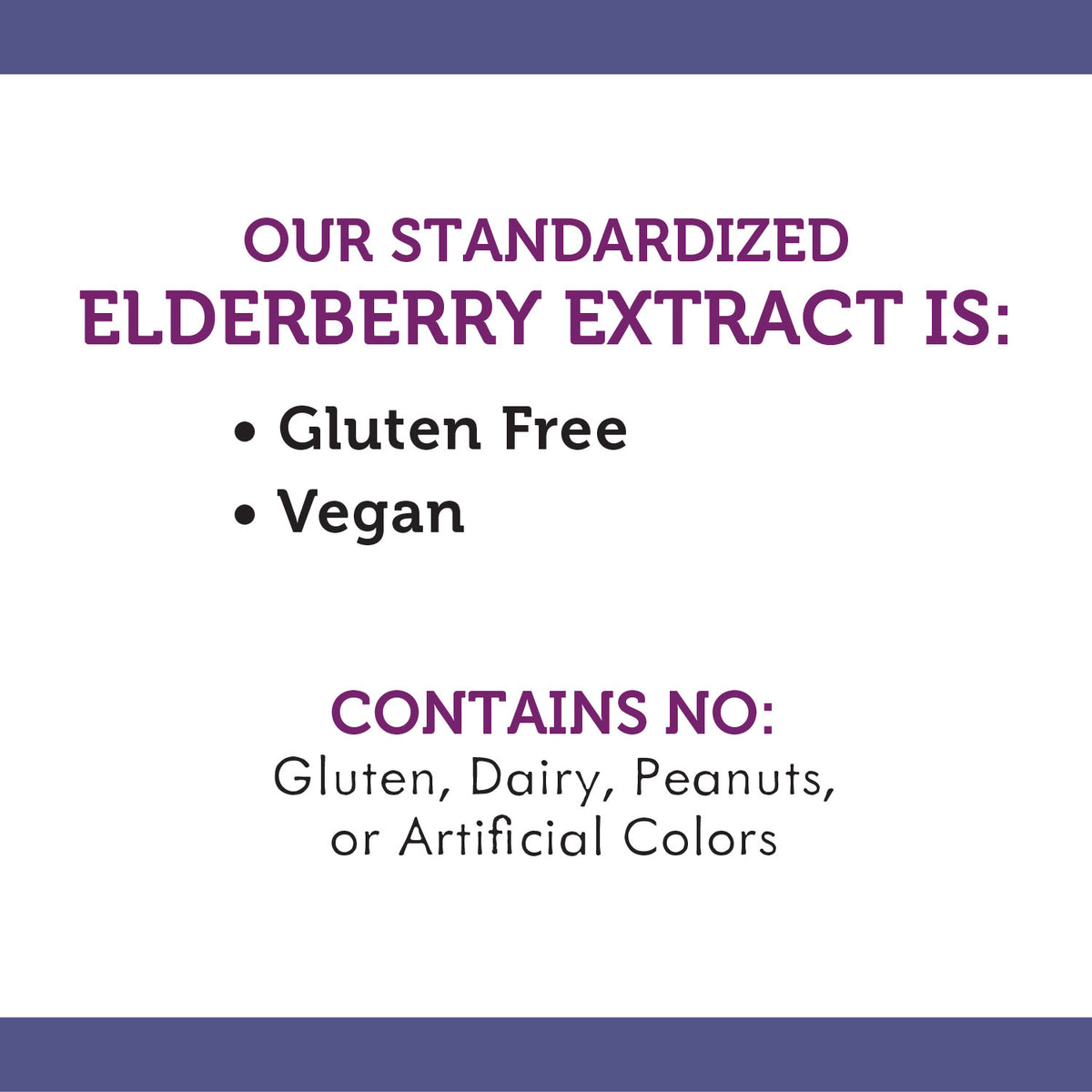 Sugar-Free Elderberry Syrup, 4 fl oz L893962