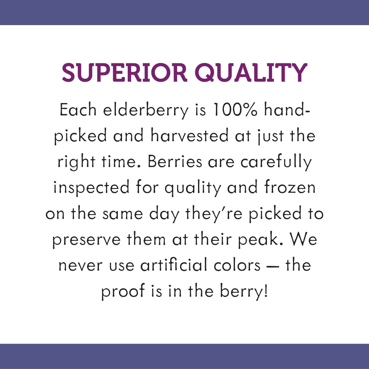Sugar-Free Elderberry Syrup, 4 fl oz L893962